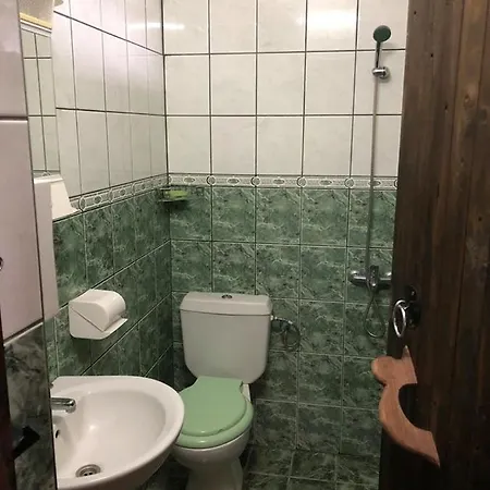 под старата липа *