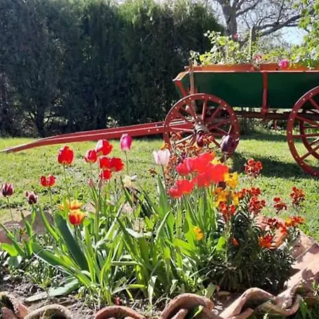 Holiday home под старата липа *